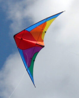 FireFly Stunt Kite