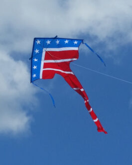 Best Flier Delta Kite